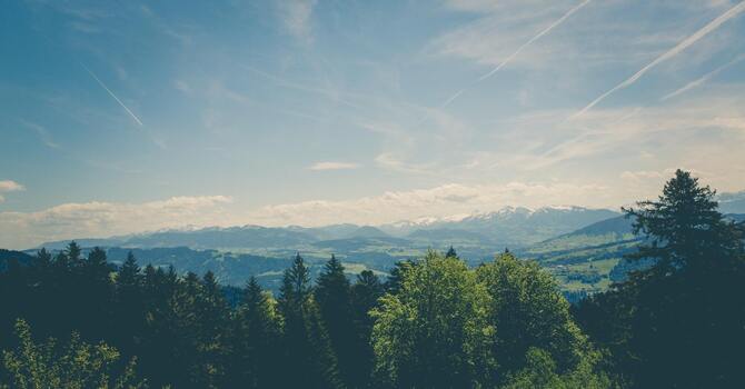 Physiotherapy - Pelvic floor and Womens Health